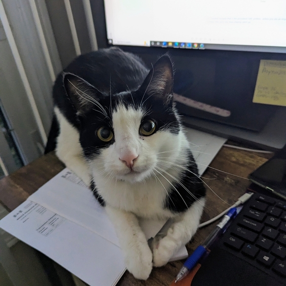 Meet your Posher, Karen - Picture 7 of 10